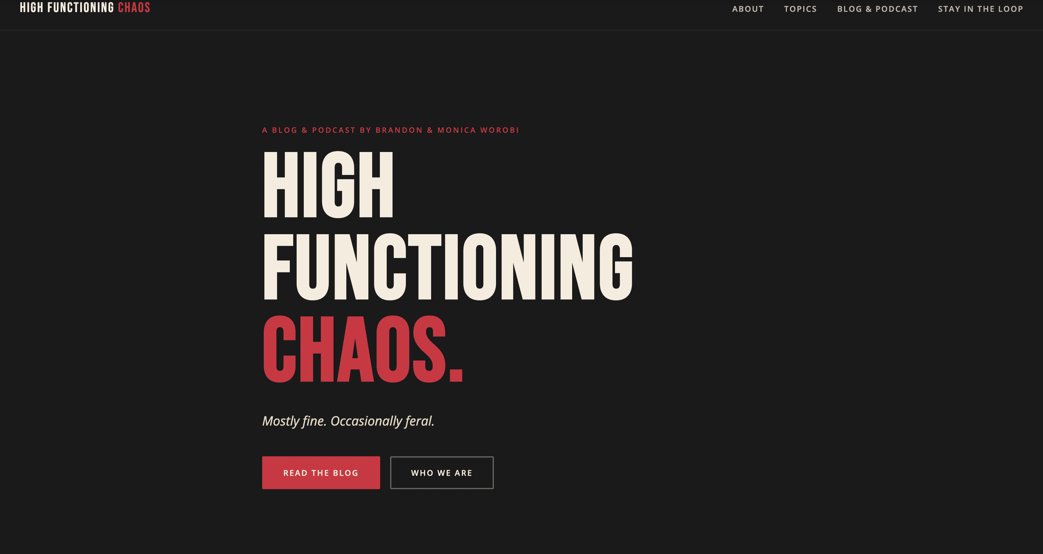 High Functioning Chaos website preview